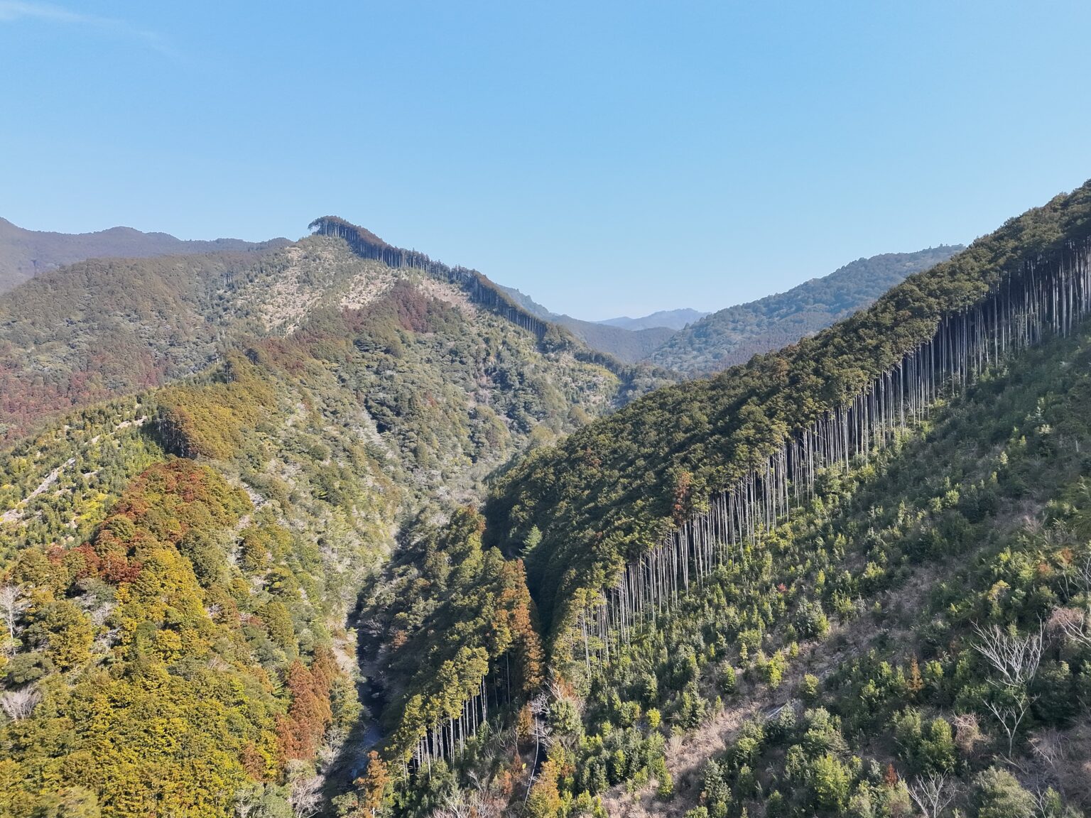 谷をはさんで広がる山の斜面と、スギ・ヒノキの林を上空から撮影した写真